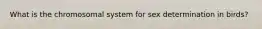 What is the chromosomal system for sex determination in birds?