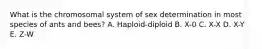 What is the chromosomal system of sex determination in most species of ants and bees? A. Haploid-diploid B. X-0 C. X-X D. X-Y E. Z-W