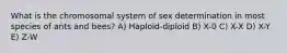 What is the chromosomal system of sex determination in most species of ants and bees? A) Haploid-diploid B) X-0 C) X-X D) X-Y E) Z-W