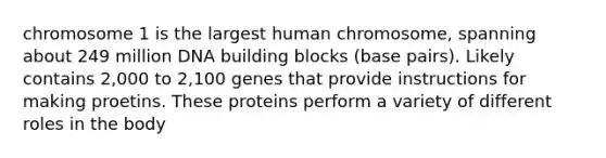 chromosome 1 is the largest human chromosome, spanning about 249 million DNA building blocks (base pairs). Likely contains 2,000 to 2,100 genes that provide instructions for making proetins. These proteins perform a variety of different roles in the body