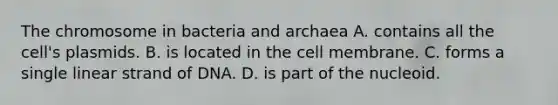 The chromosome in bacteria and archaea A. contains all the cell's plasmids. B. is located in the cell membrane. C. forms a single linear strand of DNA. D. is part of the nucleoid.