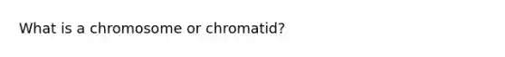 What is a chromosome or chromatid?