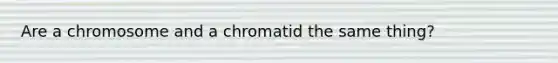 Are a chromosome and a chromatid the same thing?