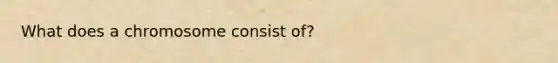 What does a chromosome consist of?