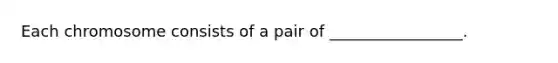 Each chromosome consists of a pair of _________________.