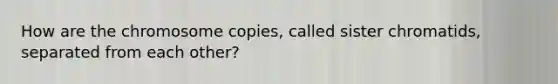 How are the chromosome copies, called sister chromatids, separated from each other?