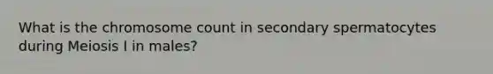What is the chromosome count in secondary spermatocytes during Meiosis I in males?