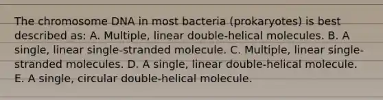 The chromosome DNA in most bacteria (prokaryotes) is best described as: A. Multiple, linear double-helical molecules. B. A single, linear single-stranded molecule. C. Multiple, linear single-stranded molecules. D. A single, linear double-helical molecule. E. A single, circular double-helical molecule.