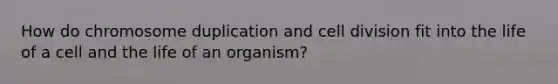 How do chromosome duplication and cell division fit into the life of a cell and the life of an organism?