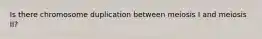 Is there chromosome duplication between meiosis I and meiosis II?