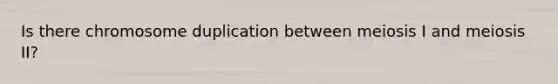 Is there chromosome duplication between meiosis I and meiosis II?