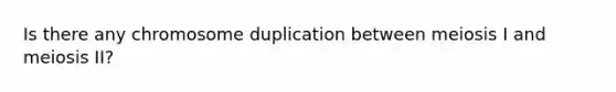 Is there any chromosome duplication between meiosis I and meiosis II?