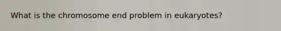 What is the chromosome end problem in eukaryotes?