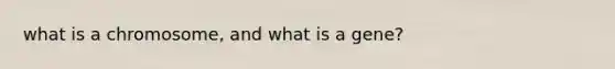 what is a chromosome, and what is a gene?