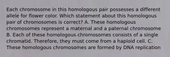 Each chromosome in this homologous pair possesses a different allele for flower color. Which statement about this homologous pair of chromosomes is correct? A. These homologous chromosomes represent a maternal and a paternal chromosome B. Each of these homologous chromosomes consists of a single chromatid. Therefore, they must come from a haploid cell. C. These homologous chromosomes are formed by DNA replication