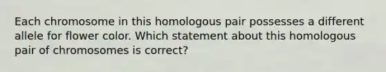 Each chromosome in this homologous pair possesses a different allele for flower color. Which statement about this homologous pair of chromosomes is correct?