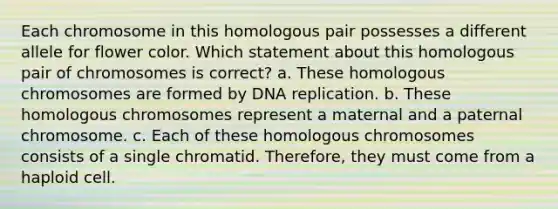 Each chromosome in this homologous pair possesses a different allele for flower color. Which statement about this homologous pair of chromosomes is correct? a. These homologous chromosomes are formed by DNA replication. b. These homologous chromosomes represent a maternal and a paternal chromosome. c. Each of these homologous chromosomes consists of a single chromatid. Therefore, they must come from a haploid cell.