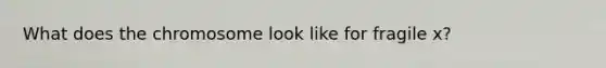 What does the chromosome look like for fragile x?