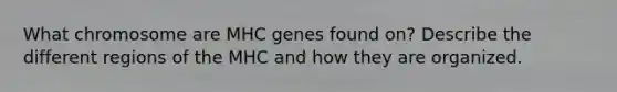 What chromosome are MHC genes found on? Describe the different regions of the MHC and how they are organized.