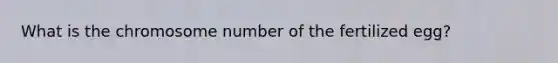 What is the chromosome number of the fertilized egg?