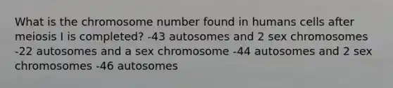 What is the chromosome number found in humans cells after meiosis I is completed? -43 autosomes and 2 sex chromosomes -22 autosomes and a sex chromosome -44 autosomes and 2 sex chromosomes -46 autosomes