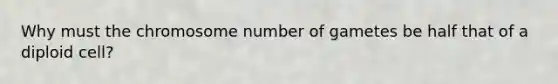 Why must the chromosome number of gametes be half that of a diploid cell?