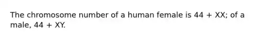 The chromosome number of a human female is 44 + XX; of a male, 44 + XY.