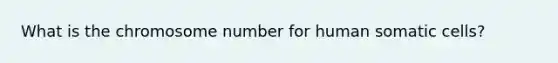 What is the chromosome number for human somatic cells?