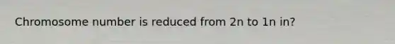 Chromosome number is reduced from 2n to 1n in?