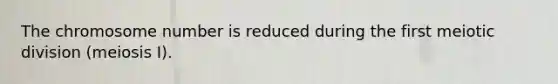 The chromosome number is reduced during the first meiotic division (meiosis I).