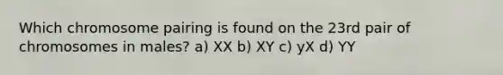 Which chromosome pairing is found on the 23rd pair of chromosomes in males? a) XX b) XY c) yX d) YY