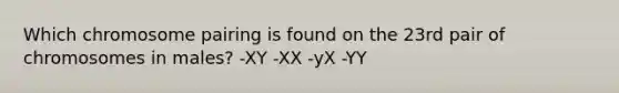 Which chromosome pairing is found on the 23rd pair of chromosomes in males? -XY -XX -yX -YY