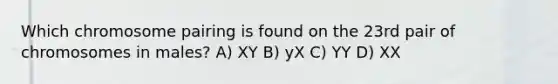 Which chromosome pairing is found on the 23rd pair of chromosomes in males? A) XY B) yX C) YY D) XX