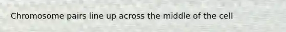 Chromosome pairs line up across the middle of the cell