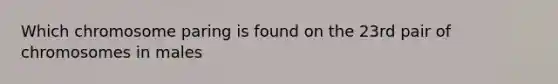 Which chromosome paring is found on the 23rd pair of chromosomes in males