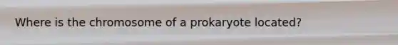 Where is the chromosome of a prokaryote located?