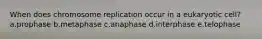 When does chromosome replication occur in a eukaryotic cell? a.prophase b.metaphase c.anaphase d.interphase e.telophase