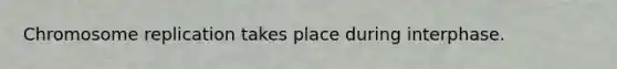 Chromosome replication takes place during interphase.