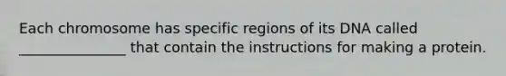 Each chromosome has specific regions of its DNA called _______________ that contain the instructions for making a protein.