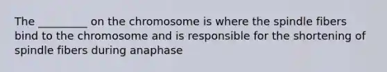 The _________ on the chromosome is where the spindle fibers bind to the chromosome and is responsible for the shortening of spindle fibers during anaphase