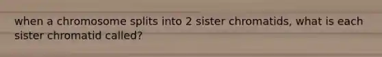 when a chromosome splits into 2 sister chromatids, what is each sister chromatid called?