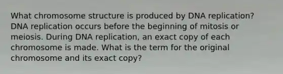 What chromosome structure is produced by DNA replication? DNA replication occurs before the beginning of mitosis or meiosis. During DNA replication, an exact copy of each chromosome is made. What is the term for the original chromosome and its exact copy?