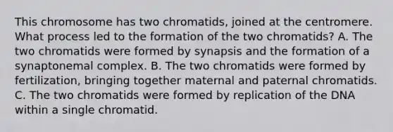 This chromosome has two chromatids, joined at the centromere. What process led to the formation of the two chromatids? A. The two chromatids were formed by synapsis and the formation of a synaptonemal complex. B. The two chromatids were formed by fertilization, bringing together maternal and paternal chromatids. C. The two chromatids were formed by replication of the DNA within a single chromatid.