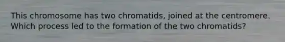 This chromosome has two chromatids, joined at the centromere. Which process led to the formation of the two chromatids?