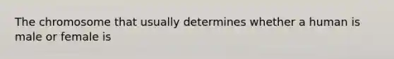 The chromosome that usually determines whether a human is male or female is