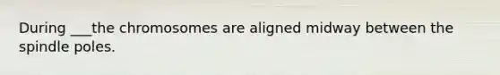 During ___the chromosomes are aligned midway between the spindle poles.