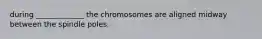 during _____________ the chromosomes are aligned midway between the spindle poles.