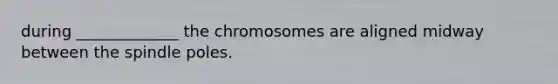 during _____________ the chromosomes are aligned midway between the spindle poles.