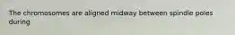 The chromosomes are aligned midway between spindle poles during
