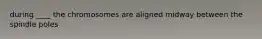 during ____ the chromosomes are aligned midway between the spindle poles